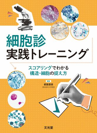 カバー写真