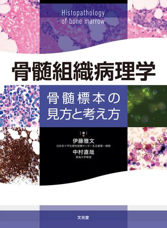 骨髄組織病理学 | 株式会社文光堂