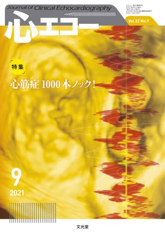 心エコー　文光堂2021年4月〜12月まとめ売り