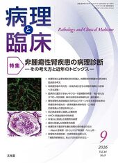 2026年9月号<br>非腫瘍性腎疾患の病理診断のカバー写真
