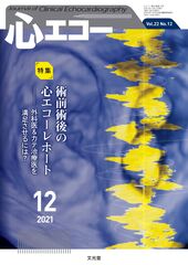 心エコー　文光堂2021年4月〜12月まとめ売り