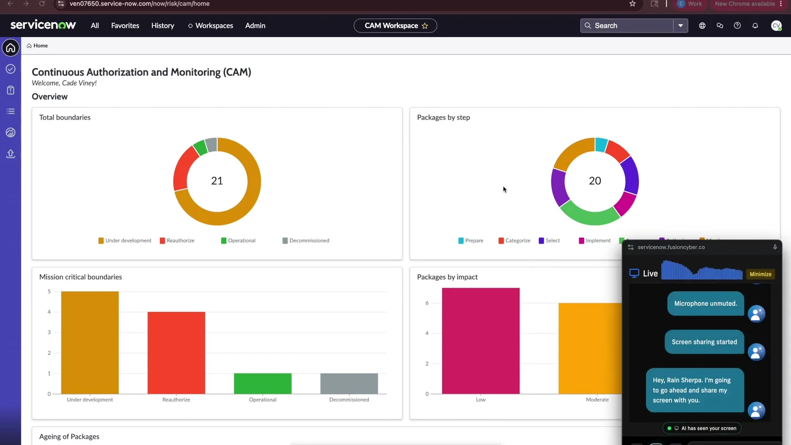 Dashboard with charts showing total boundaries and packages by step.