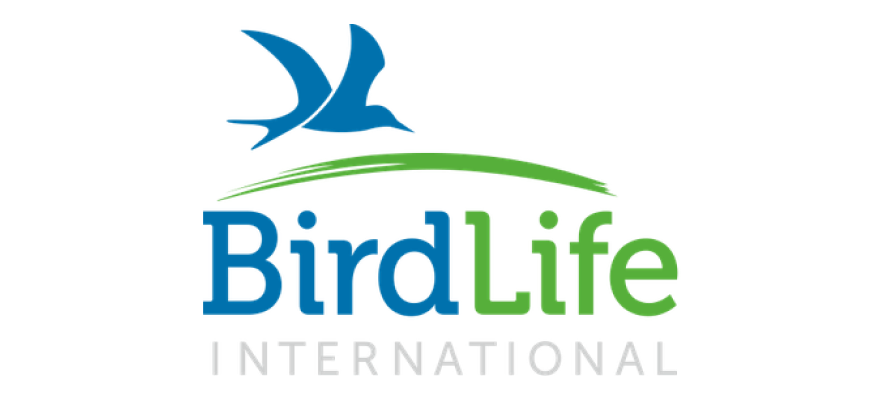 birdlife