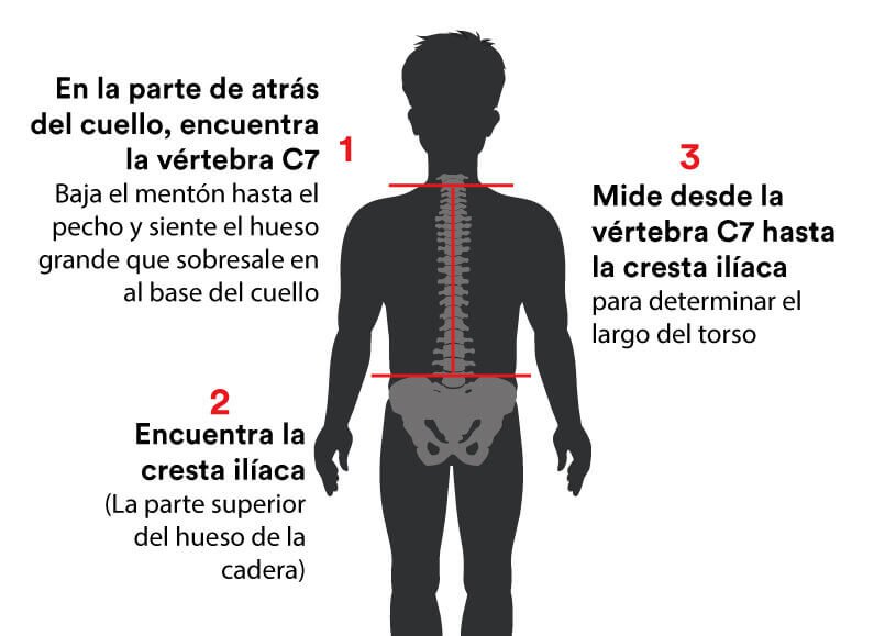 Arnés Black Diamond Escalada Solution Guide Gris Hombre