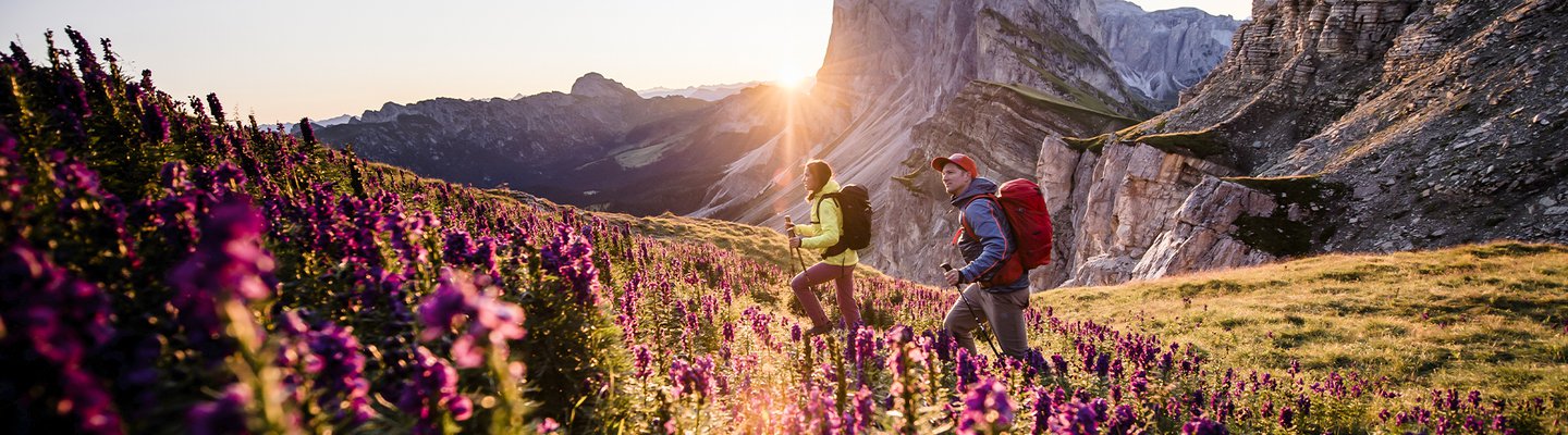 zapatillas Montaña y Trekking Hombre - Mount Legend