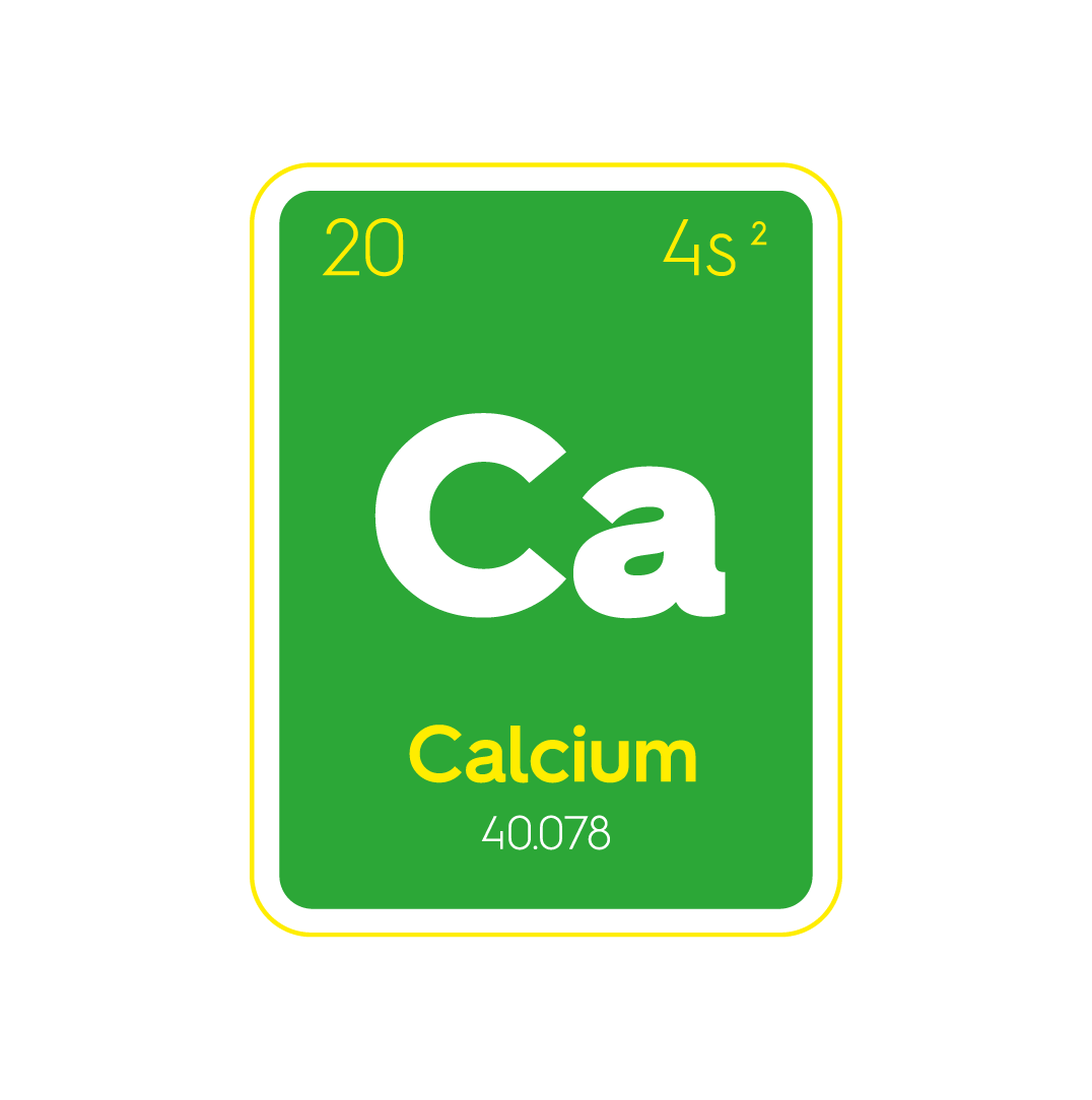 07 calcio.png