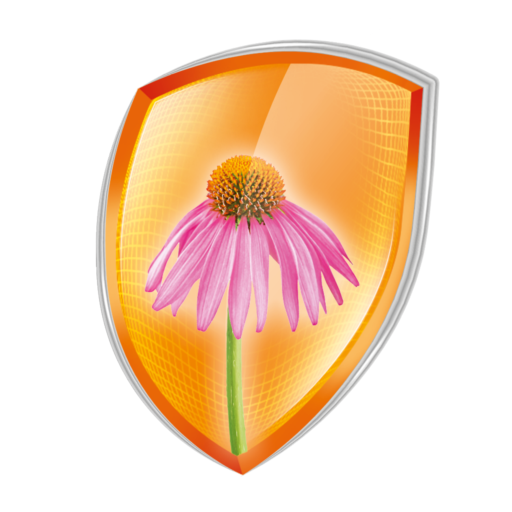 AQUILEA_Grafik_Front_Echinacea.png