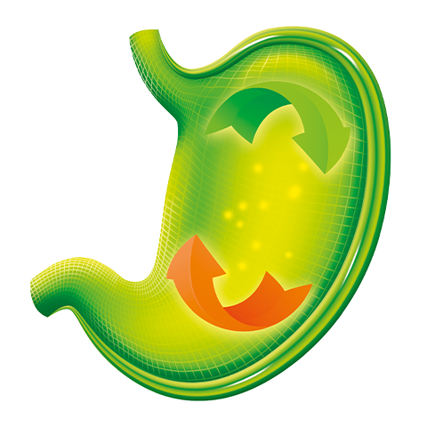 AQUILEA_Grafik_Front_Verdauung.png