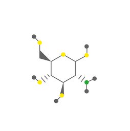 06 glucosamina.png