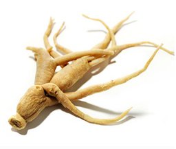 ginseng1.max-256x256