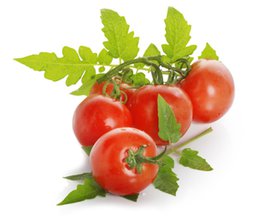tomatera2.jpg