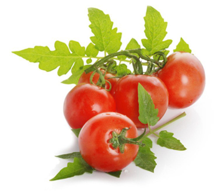 tomatera2.jpg
