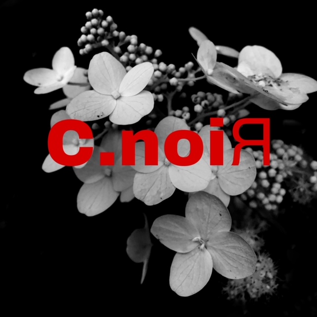 C.noir