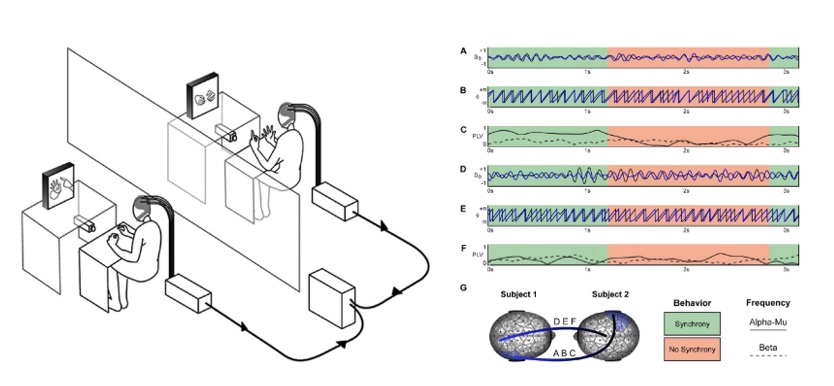 Expérience de Guillaume Dumas mettant en évidence le phénomène de synchronie : les ondes cérébrales de deux personnes qui communiquent non verbalement se superposent