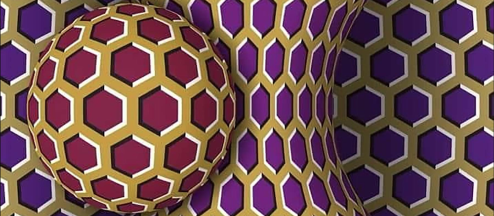 Rotating Snake Illusion (Alice Proverbio, université Bicocca de Milan