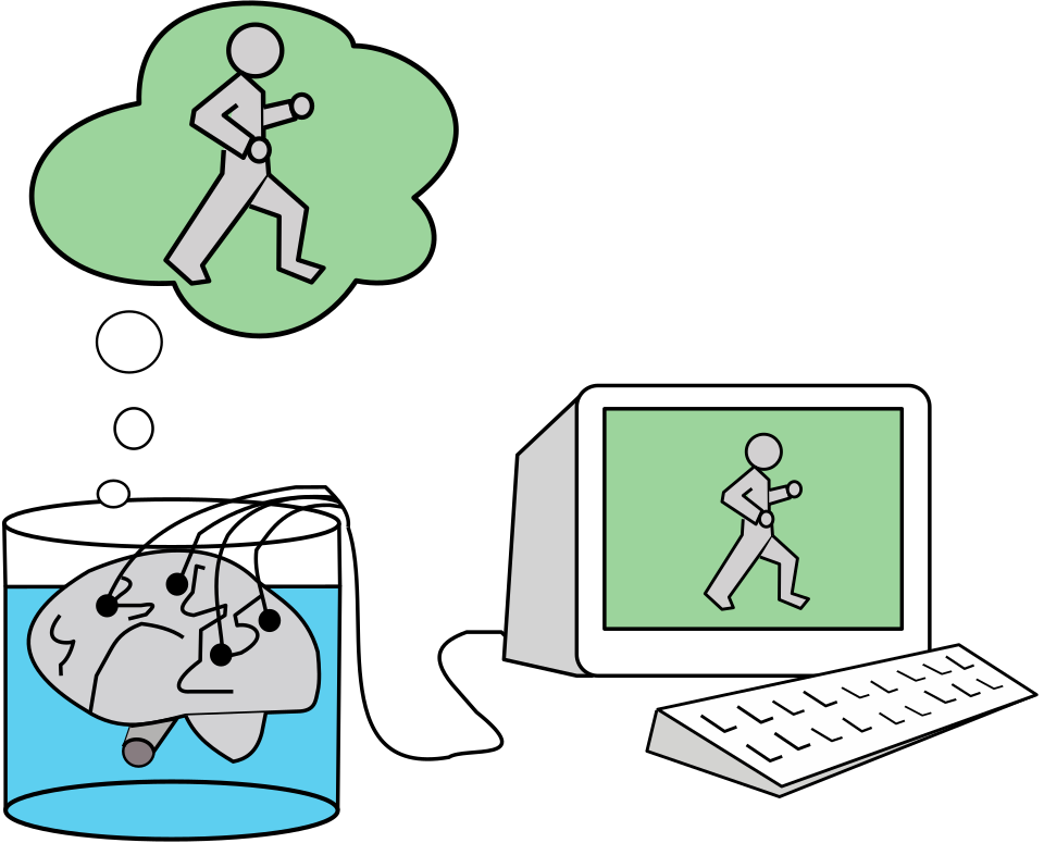 Brain in a jar - copyright CC BY Alexander Wivel 