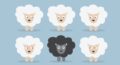 Le syndrome du mouton noir : à l'origine des discriminations