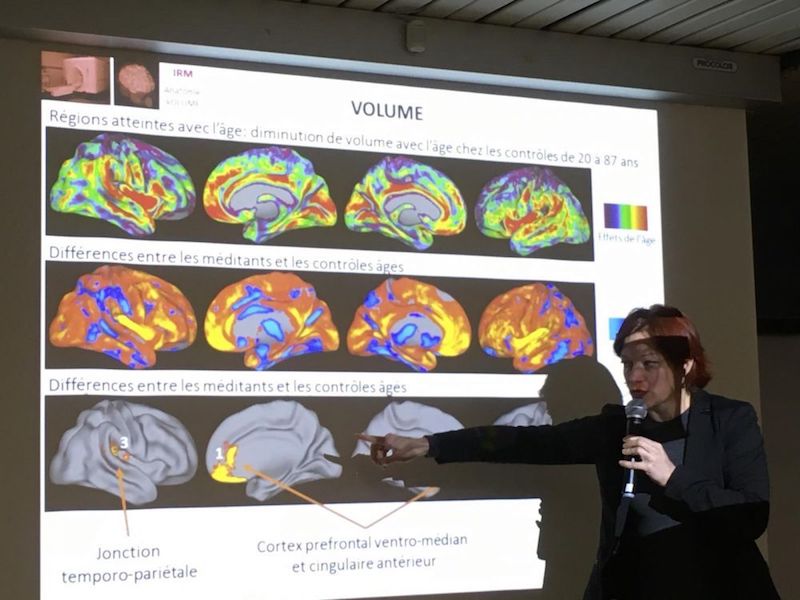 La méditation ralentit-elle le vieillissement du cerveau ? : Cortex Mag ...