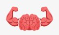 Neuromythe #10 : oui, vous pouvez muscler votre cerveau ! ©Shutterstock/vectorlab2D