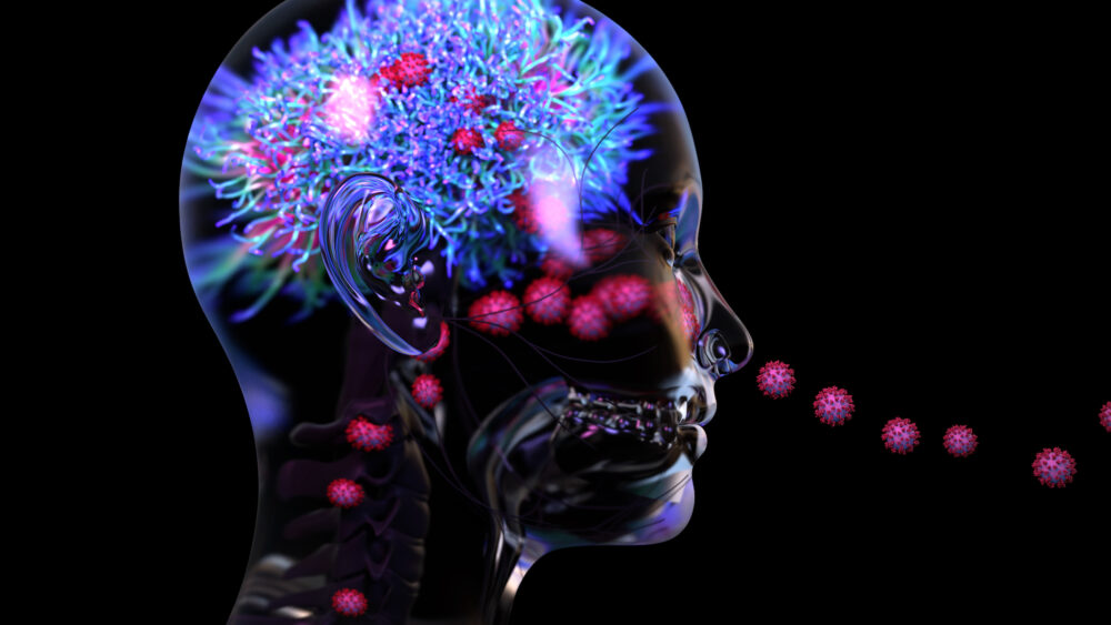 Covid-19 et cerveau : oui, le virus peut infecter les neurones (©Shutterstock/Design_Cells)