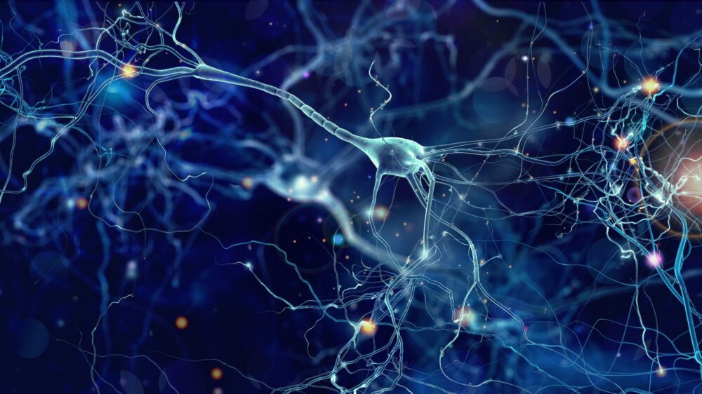 Épilepsie : la piste de la régénération des neurones perdus (©Shutterstock/whitehoune)