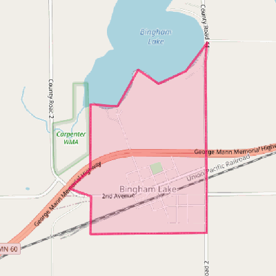 Map of Bingham Lake