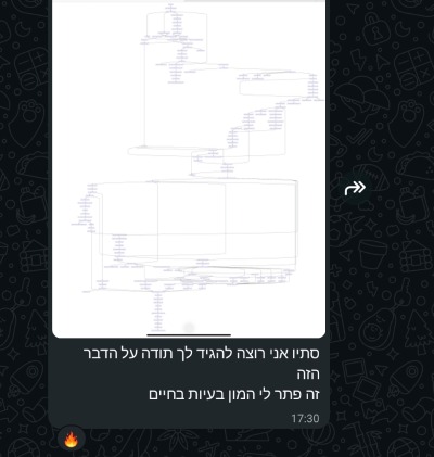 צילום מסך מתוך צ'אט ובו הודעת תודה והמלצה מלקוח: "סתיו אני רוצה להגיד לך תודה על הדבר הזה, זה פתר לי המון בעיות בחיים". מעל ההודעה מוצגת תמונה של תרשים ארכיטקטורה מורכב של מערכת אוטומציה וזרימת נתונים דיגיטלית.