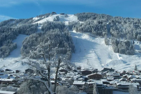 Hotel & Spa Le Dahu