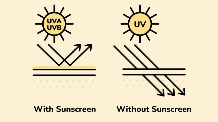 an infographic showing sunscreen blocking UV rays