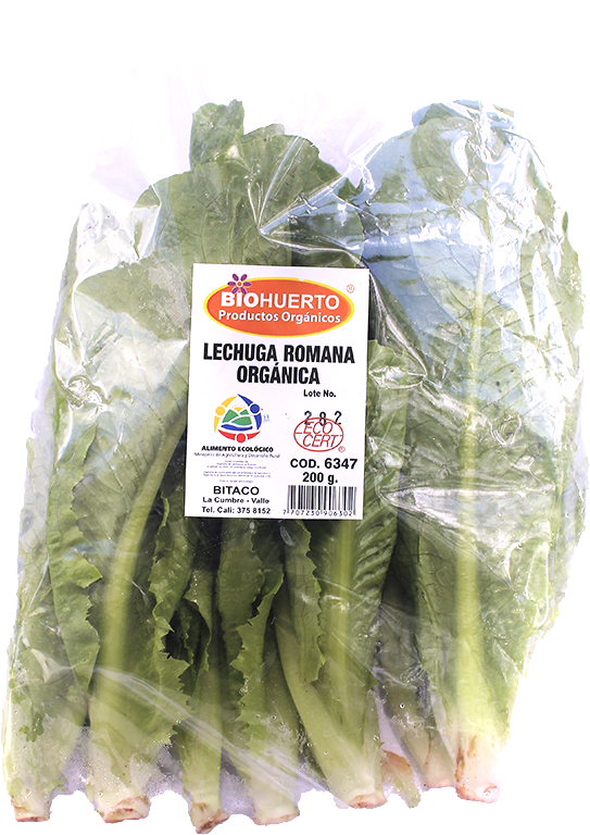 Lechuga Romana Orgánica Biohuerto*150G