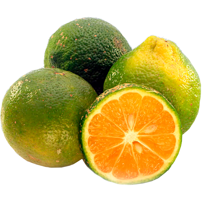 Limón Mandarino A Granel