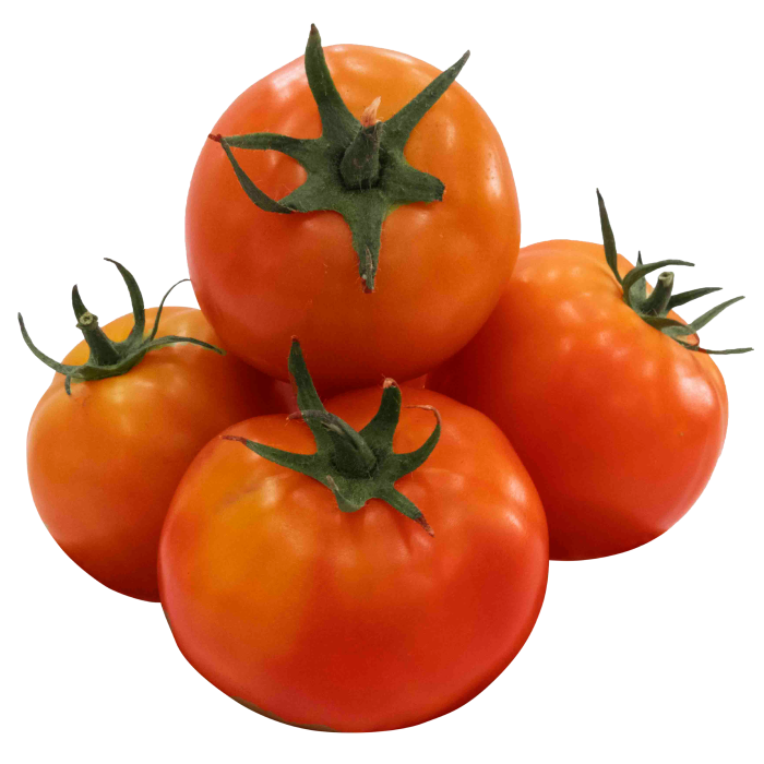 Tomate Chonto A Granel