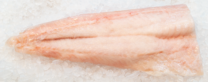 Filete Corvina A Granel