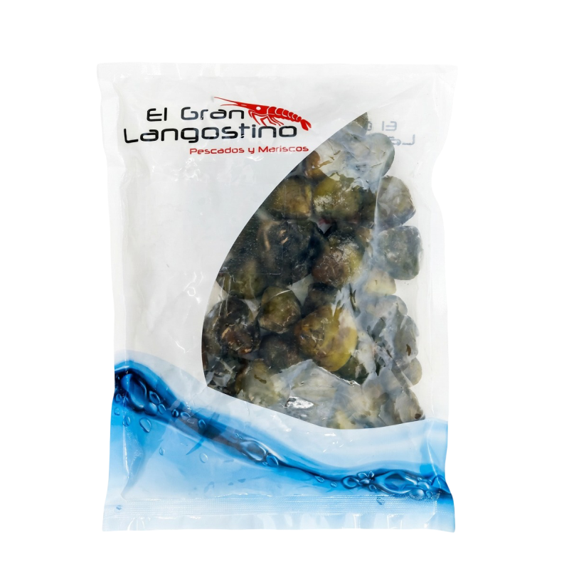 Almeja En Concha Gran Langostino*500Grm