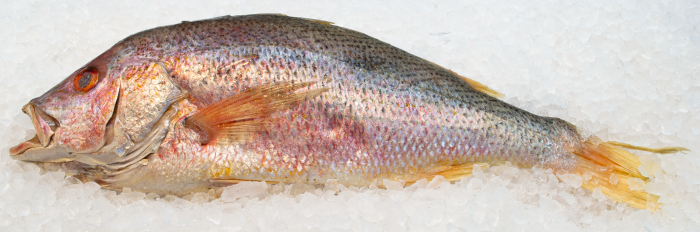 Pargo Rojo Entero A Granel
