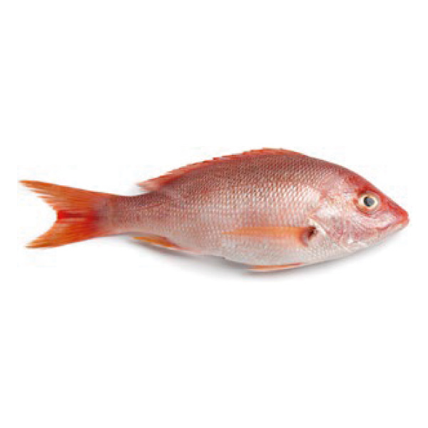 Pargo Rojo Platero A Granel