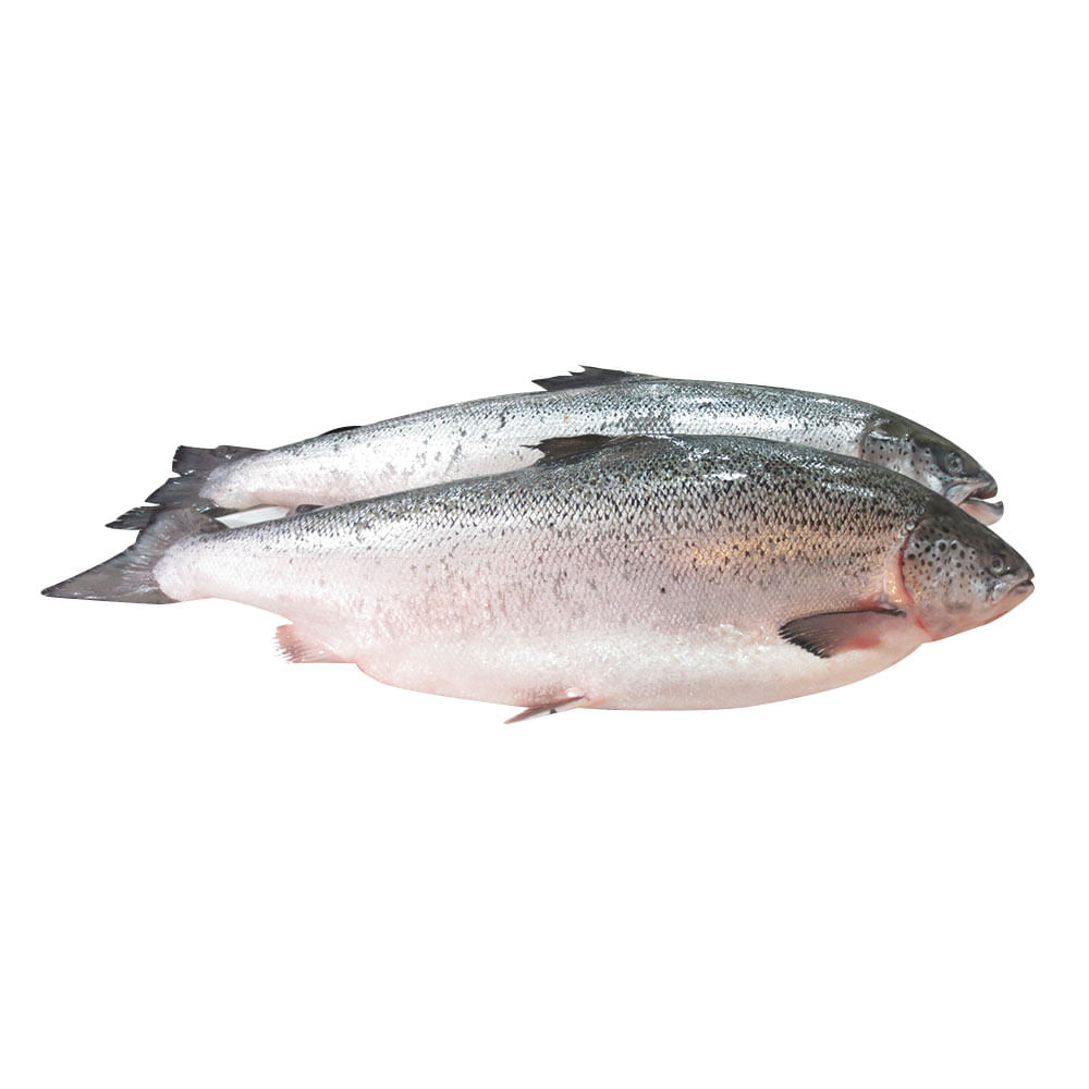 Salmon Entero A Granel