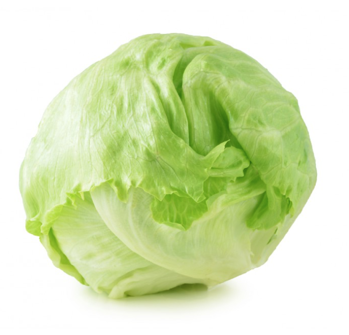 Lechuga Batavia*Und