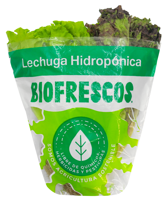 Lechuga Biofrescos*160G Tropical