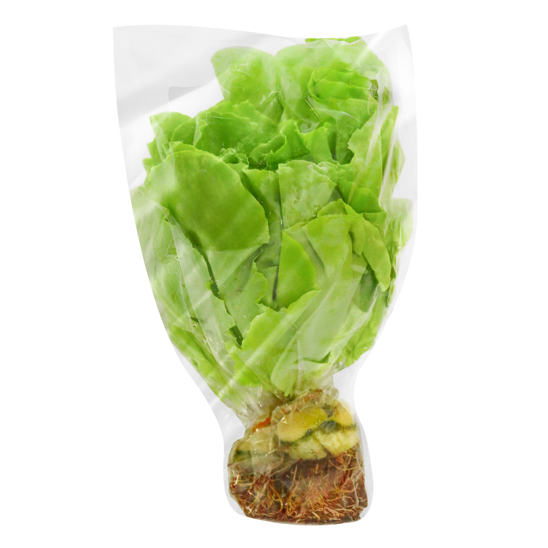 Lechuga Biofrescos*140G Mantequilla