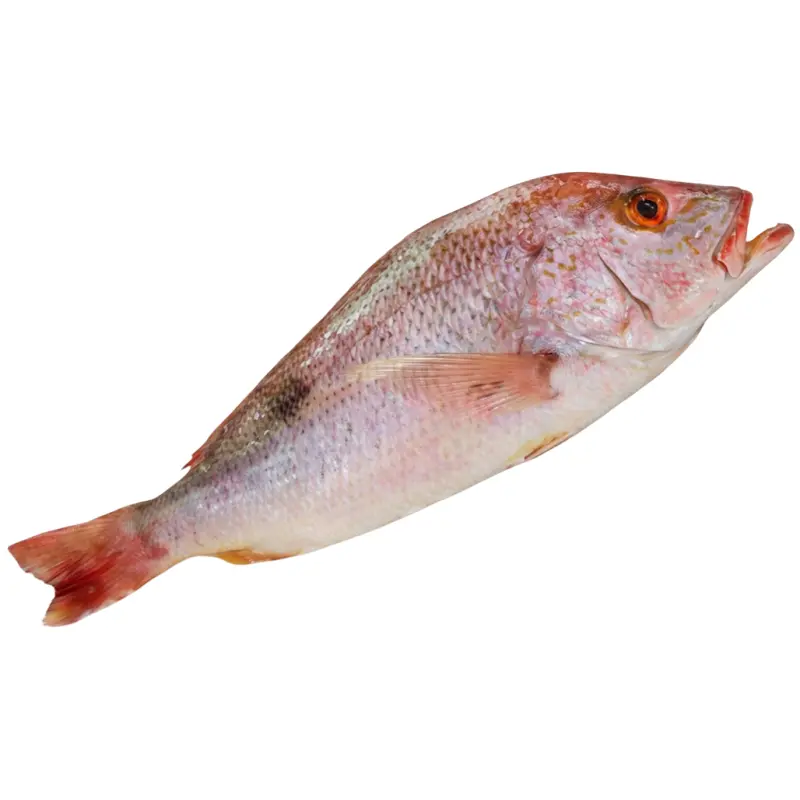 Pargo Rojo Mediano A Granel