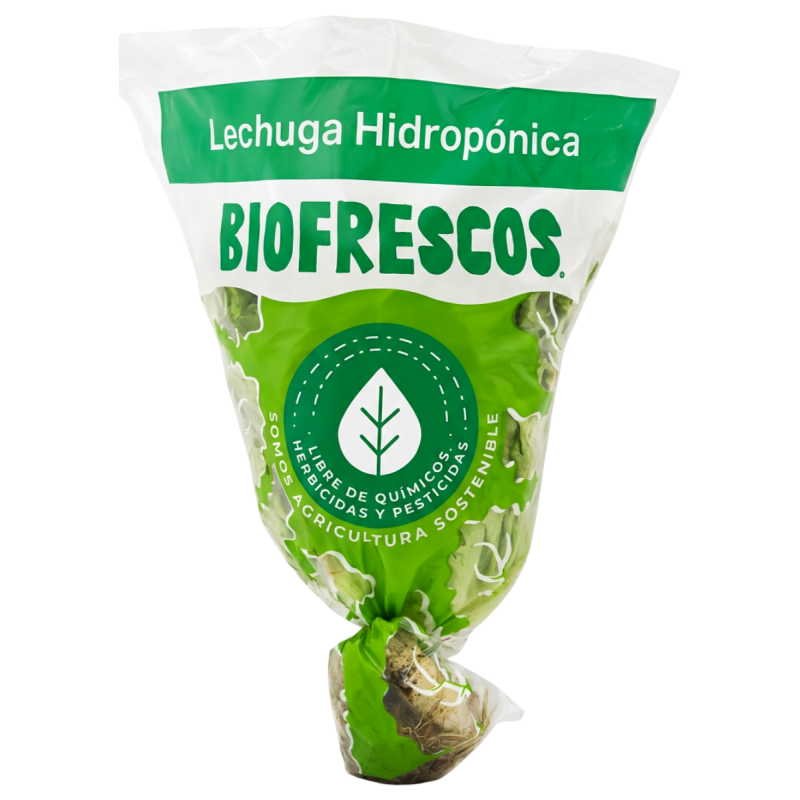 Lechuga Biofrescos*160G Verde Crespa Hidroponica