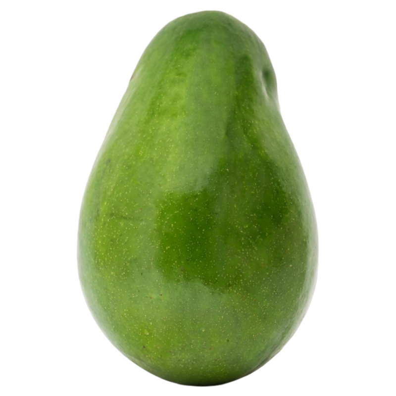 Aguacate Comun*Und