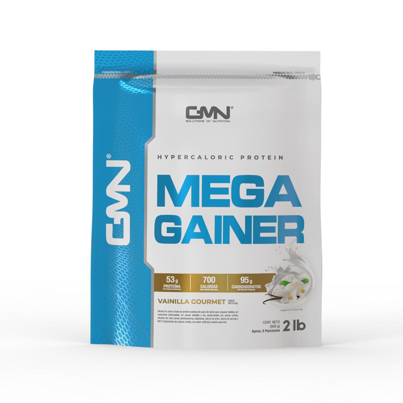 Proteina Gmn Mega Gainer Vainilla Go *908G