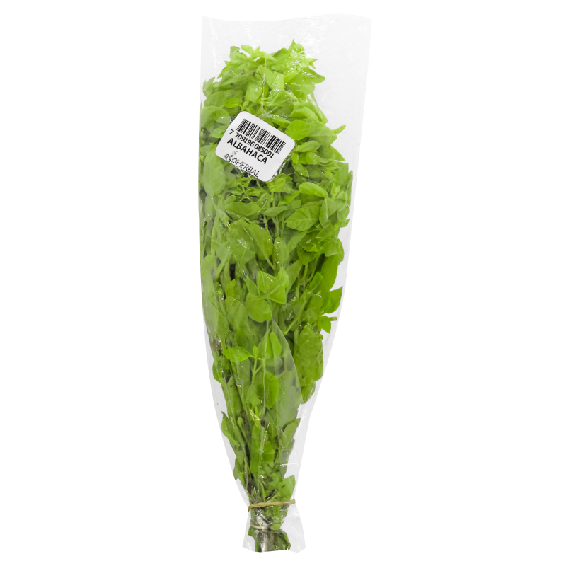 Albahaca Blanca*Und