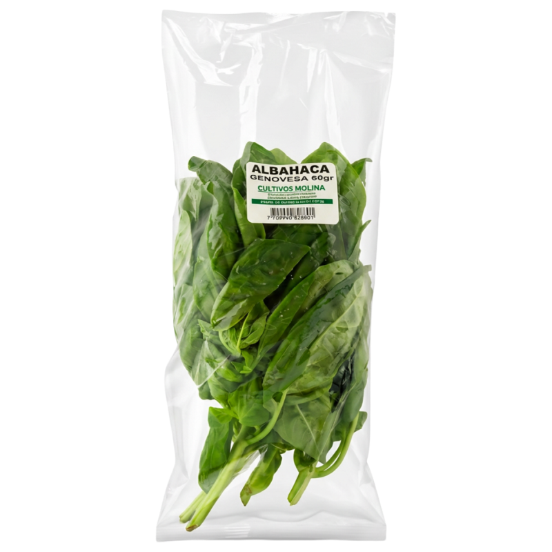 Albahaca Molina Genovesa*60G