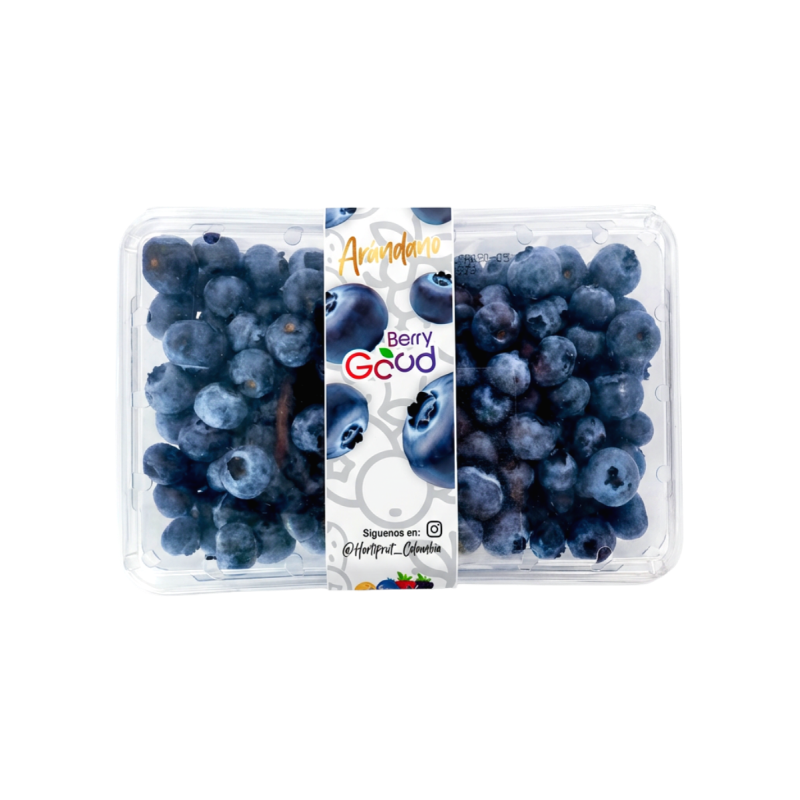 Arándanos*500G Extra