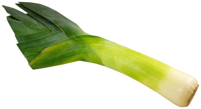 Cebolla Puerro A Granel