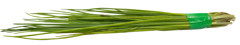 Cebollín*Und