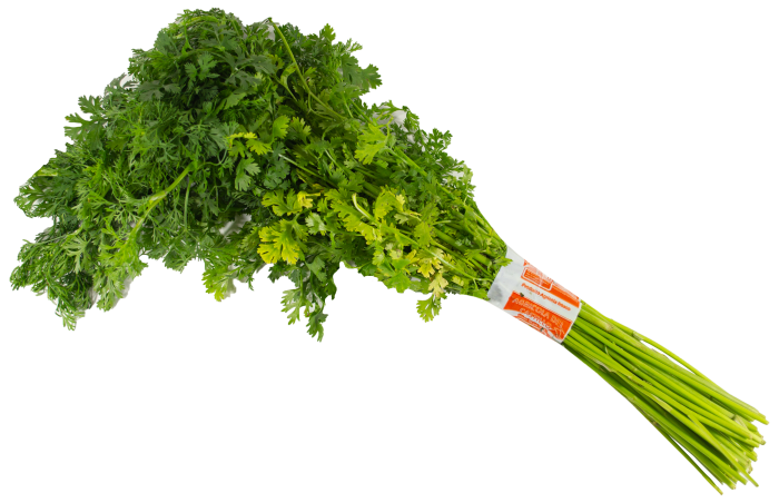Cilantro*80G